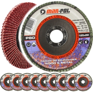 TARCZA DO SZLIFOWANIA LAMELKOWA LAMELKA 125MM P80 10EL