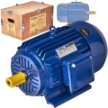 silnik-elektryczny-22kw-380v-kd1813_1.jpg