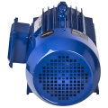 silnik-elektryczny-22kw-380v-kd1813_14.jpg