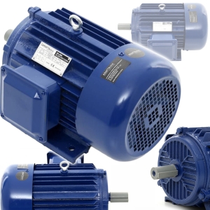 SILNIK ELEKTRYCZNY TRÓJFAZOWY 4000W 4kW 380V/50Hz 2880rpm